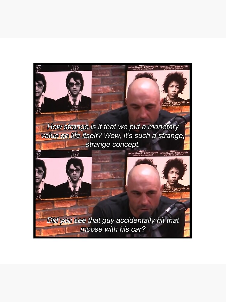 Joe Rogan Moose Quote Throw Pillow - Image 2